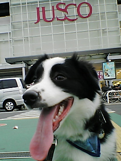 a0100564_19265360.jpg