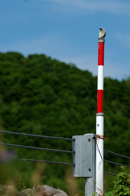 c0084666_17284745.jpg