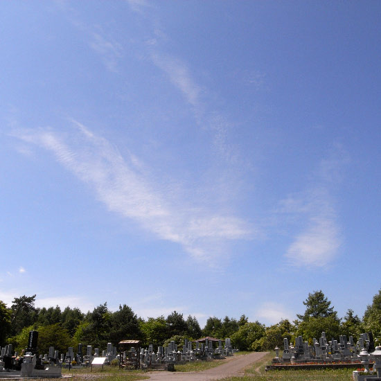 e0100772_22545284.jpg