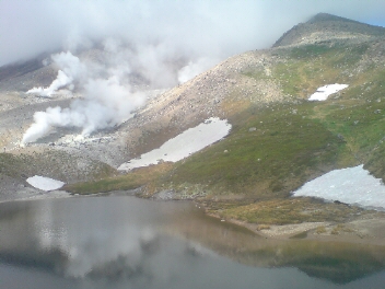 f0137483_10213832.jpg