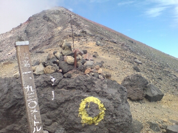 f0137483_10213841.jpg