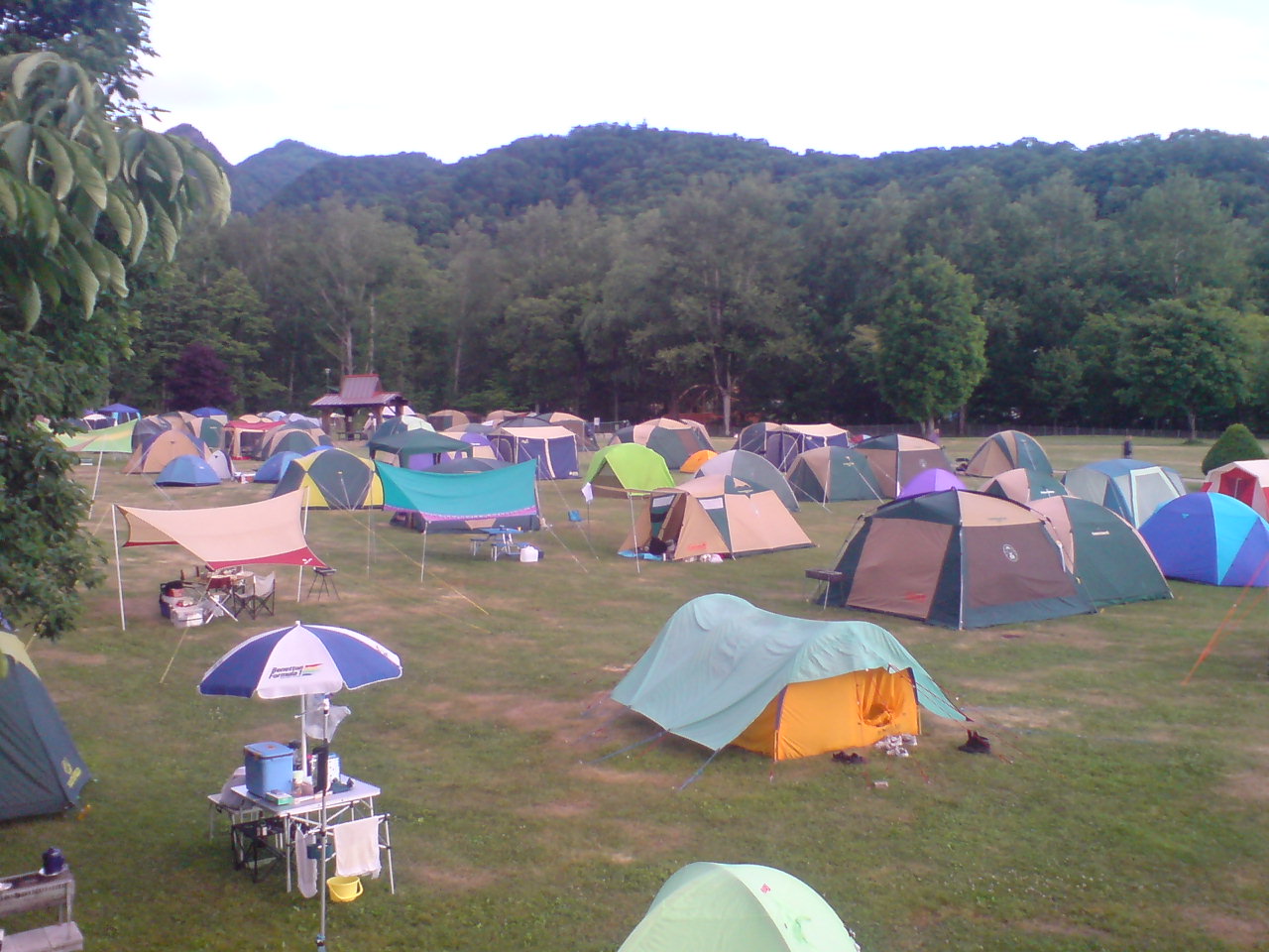 f0137483_4182711.jpg
