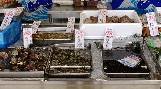 f0125585_10305594.jpg