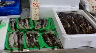 f0125585_1031396.jpg