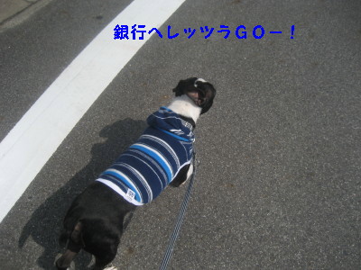 c0092787_10184636.jpg