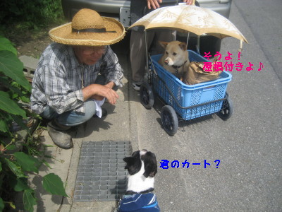 c0092787_102262.jpg