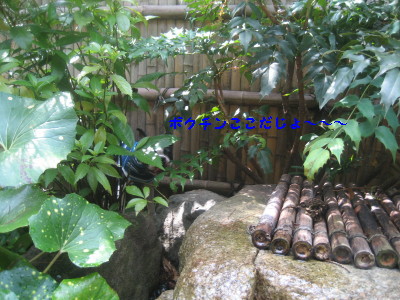 c0092787_1025492.jpg