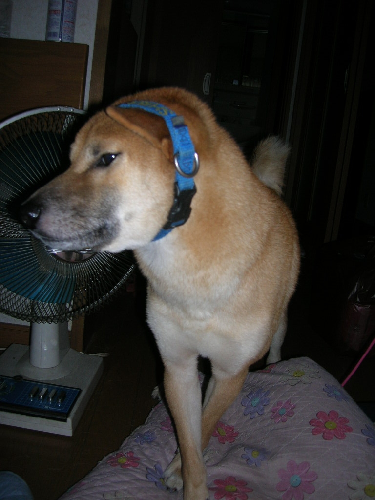 c0123890_21552317.jpg