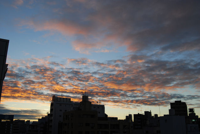 e0019200_050584.jpg
