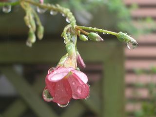 b0061107_23494084.jpg