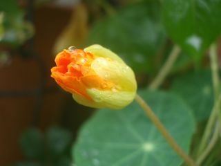 b0061107_23495147.jpg