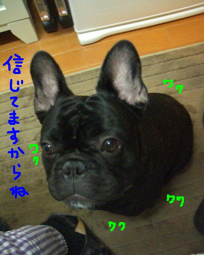 c0113109_0541725.jpg