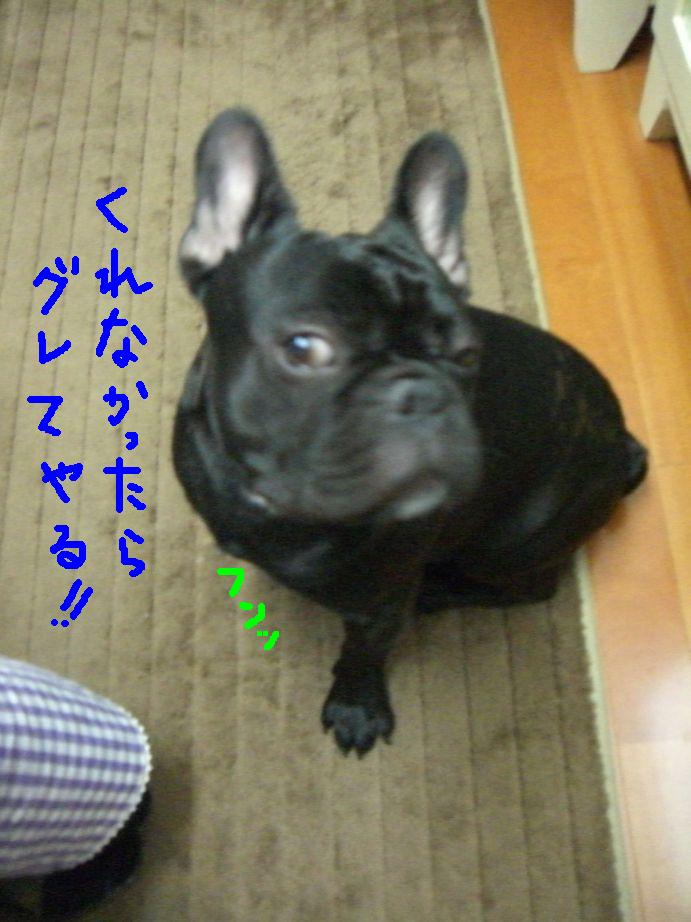 c0113109_0542325.jpg