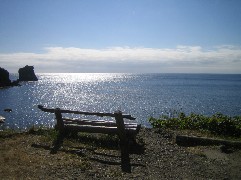c0000816_22503650.jpg