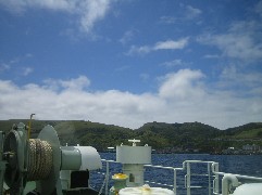 c0000816_2264015.jpg