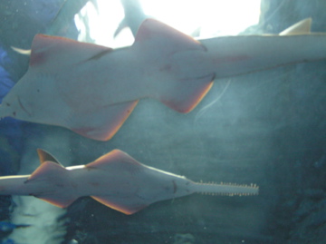 f0128723_1344544.jpg