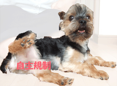 f0008935_14153187.gif