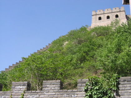 d0085939_21301077.jpg