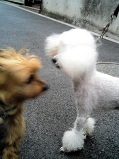 c0033145_2048099.jpg