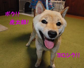 c0036949_9534045.jpg