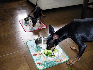 c0123149_2115431.jpg