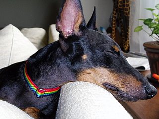 c0123149_2175980.jpg