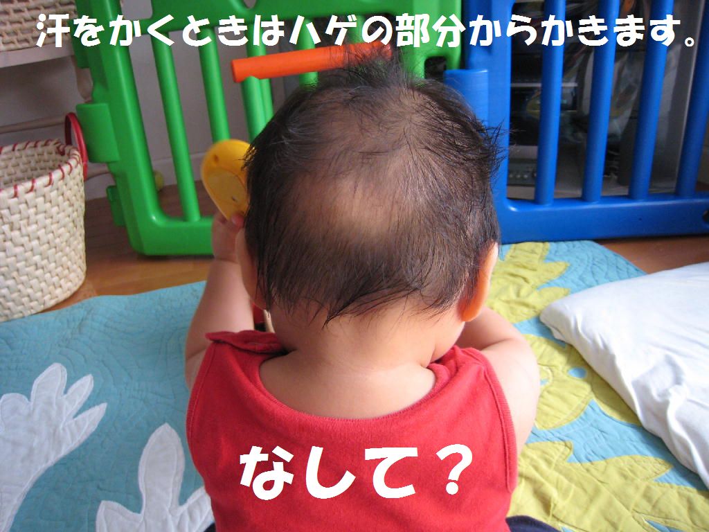 a0090451_22502986.jpg