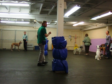 c0078451_1323305.jpg