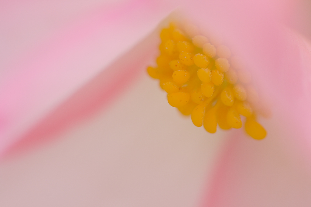 f0036357_0241216.jpg