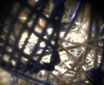 d0029958_18565361.jpg