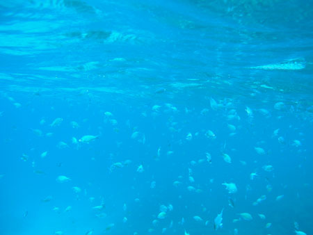 b0062363_2193990.jpg