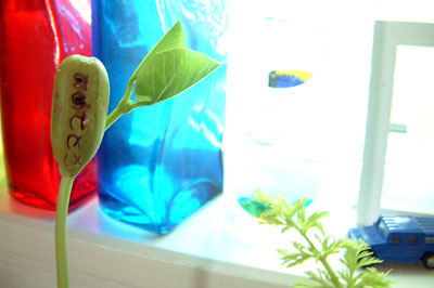 c0050264_11402728.jpg
