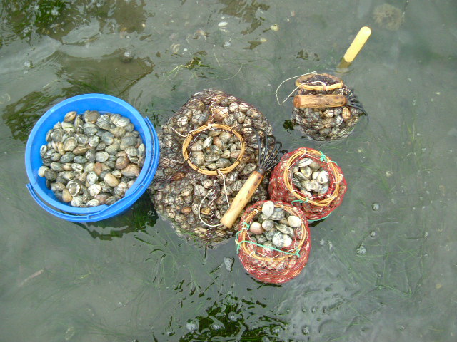 c0082567_8472091.jpg