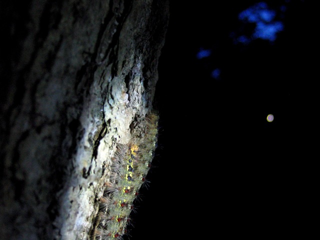e0023068_1201726.jpg