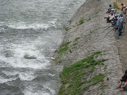 e0041168_10195251.jpg