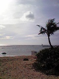 c0102375_2551127.jpg