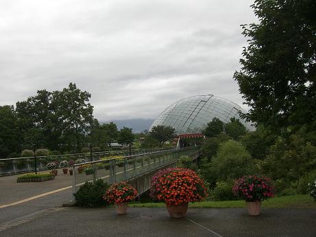 f0116278_1744507.jpg