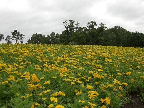 f0116278_17462229.jpg