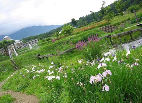 a0079880_20422129.jpg
