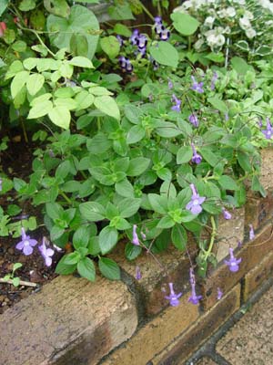 e0008586_23501929.jpg