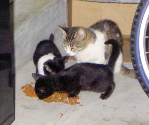 f0092389_172023.jpg