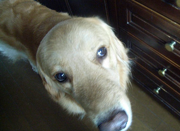 c0096393_2241893.jpg
