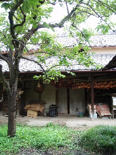 c0076496_21302916.jpg