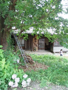 c0076496_21304019.jpg