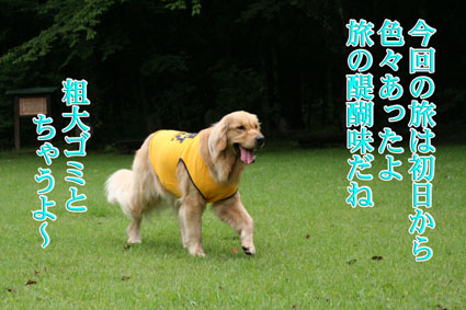 e0072606_17201114.jpg