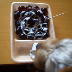 c0036617_19463650.jpg