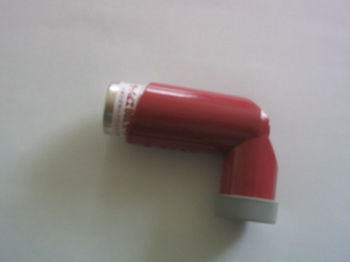 e0111220_1139344.jpg