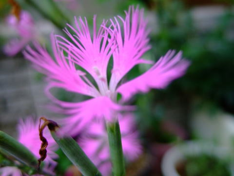 f0147025_205352.jpg