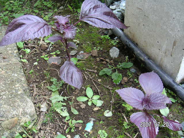 a0020929_15571066.jpg