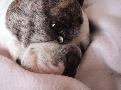 e0008833_849376.gif